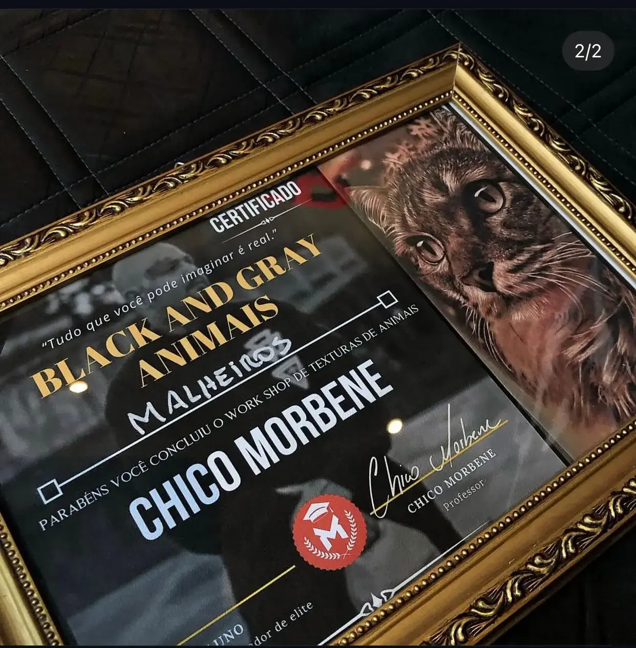 Matheus Malheiros e Chico Morbene